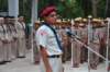 dsc_0242_small.jpg