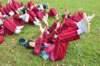 dsc_0411_small.jpg